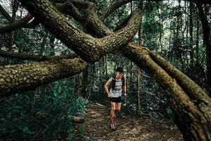 BIB: 
                            <button type="button" onclick="openModal(25664483)" class="btn btn-primary btn-sm float-right btn-popup" data-toggle="modal" data-target=".modal-high-quality">
                        <i class="fas fa-shopping-cart"></i> Add to Cart
                    </button>
                                            <button type="button" onclick="isThisMe(25664483, true)" class="btn btn-success btn-sm float-right btn-popup btn-isme hidden" data-toggle="tooltip" data-placement="bottom" title="นี่คือรูปของคุณใช่ไหม คลิกที่นี่เพื่อเอาเข้าอัลบั้ม">
                        <i class="fas fa-plus"></i> Add to album
                    </button>
                    <button type="button" onclick="isThisMe(25664483, false)" class="btn btn-warning btn-sm float-right btn-popup btn-isnotme hidden">
                        <i class="fas fa-ban"></i> Remove from album
                    </button>